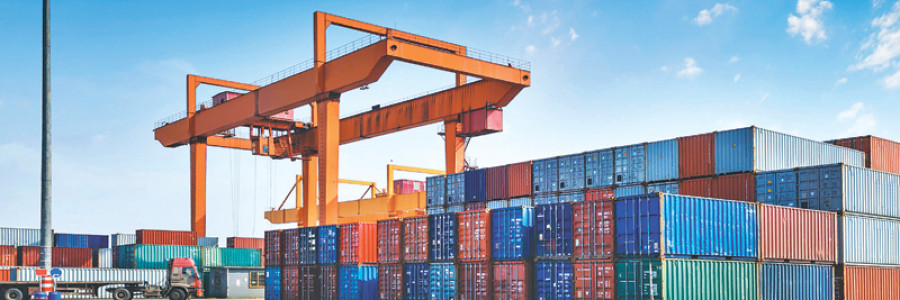 Export cash incentive scheme ‘fails’ to meet desired objectives