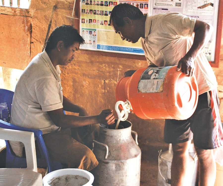 Dairy farming much better than foreign employment