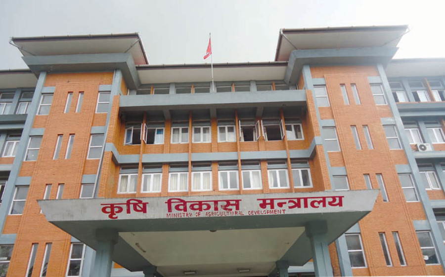 AgriMin’s budget ceiling for next FY up 11.48pc
