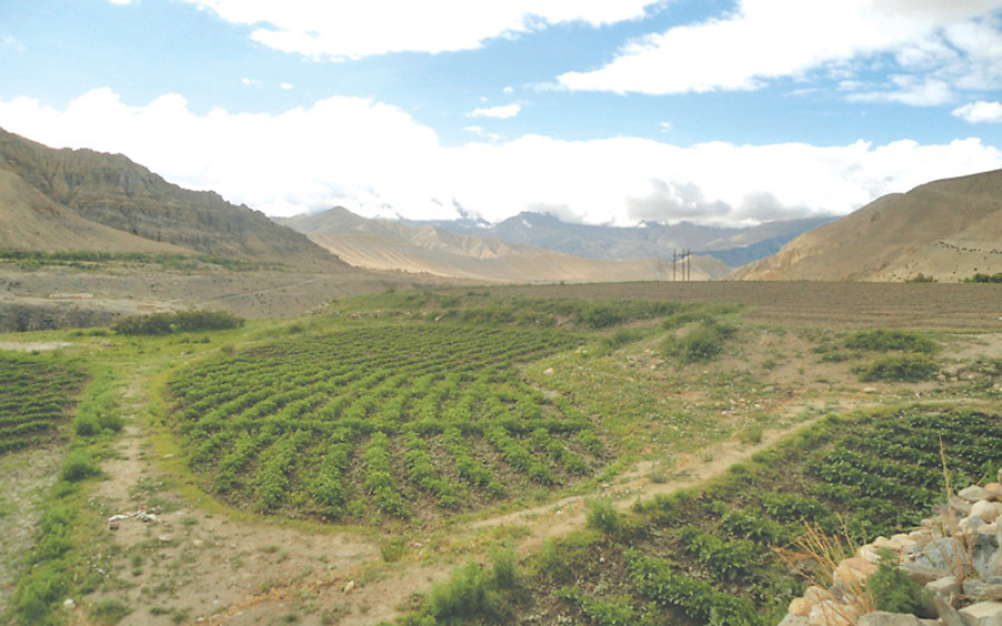 Locals gradually allow outsiders to settle in Mustang