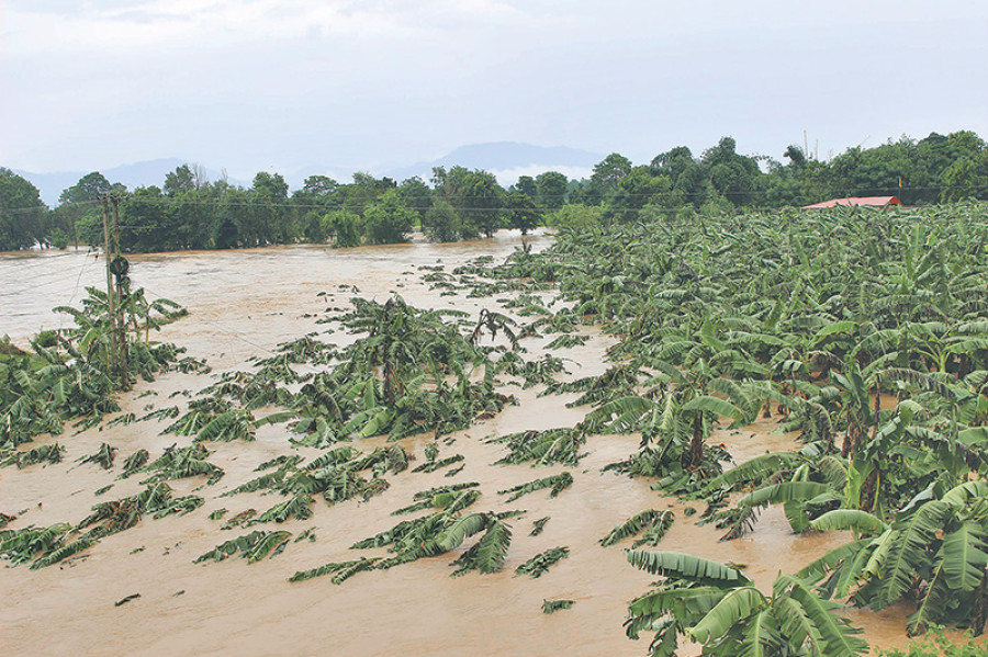 Govt announces Rs1.25b aid for flood-hit farmers