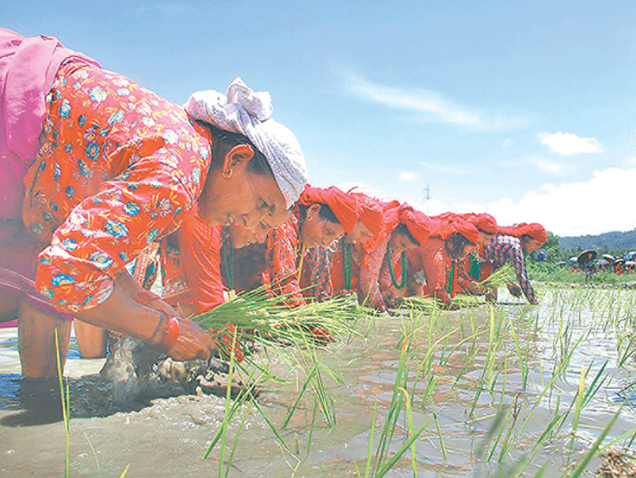 Govt to extend Rs150m in districts facing scant rainfall