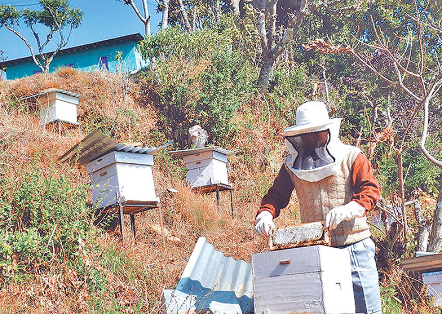 Locals stop outsiders from grazing bees