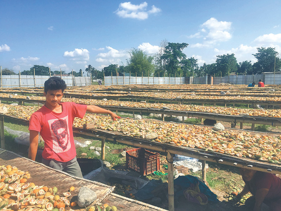 Betel nut consumers pick up export slack