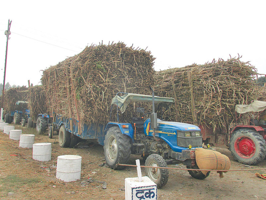 Farmers forced to borrow as mill delays payment