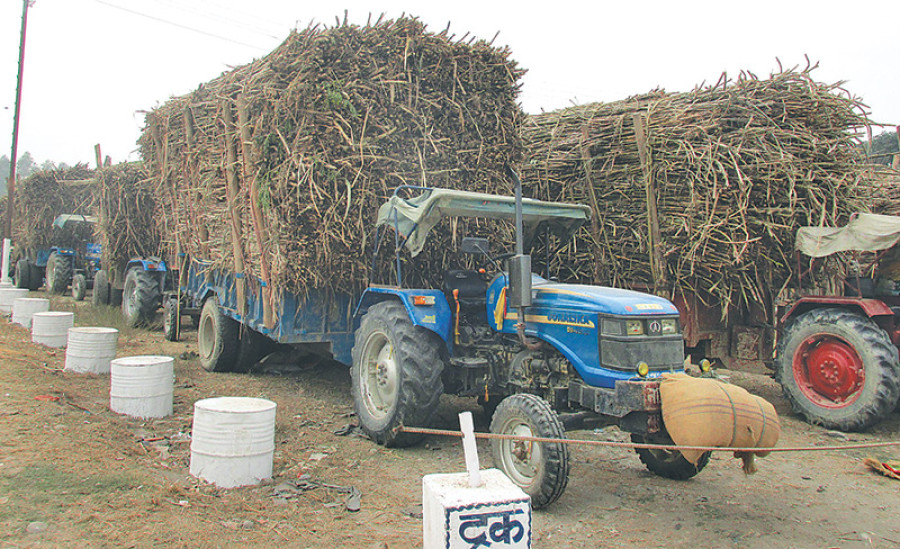Cane farmers get paid after one-year delay