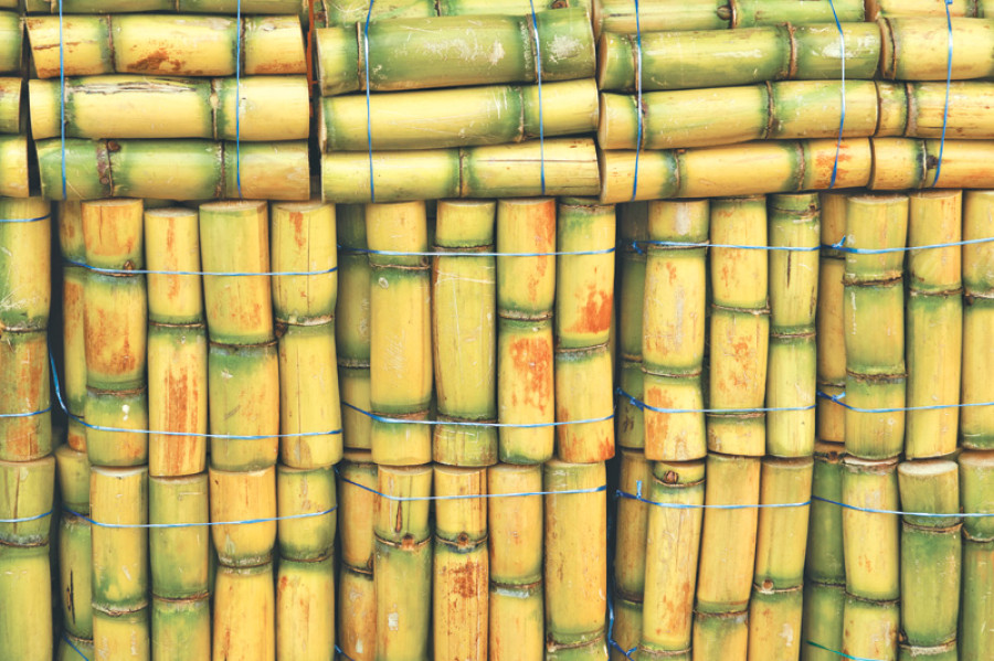 Eastern Sugar Mill clears dues of sugarcane farmers