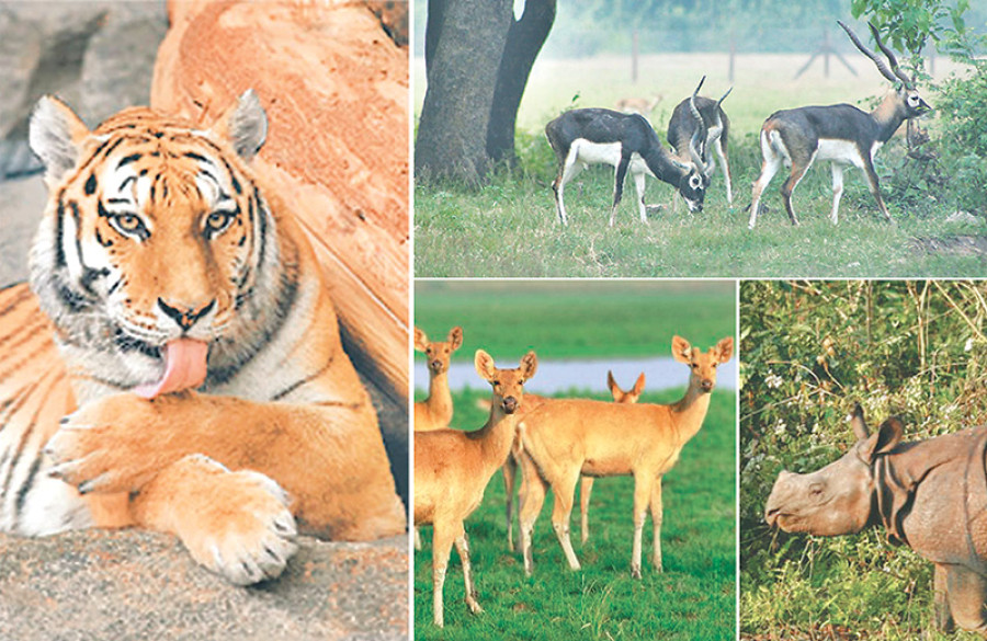 Tourism fair kicks off in Far Western region