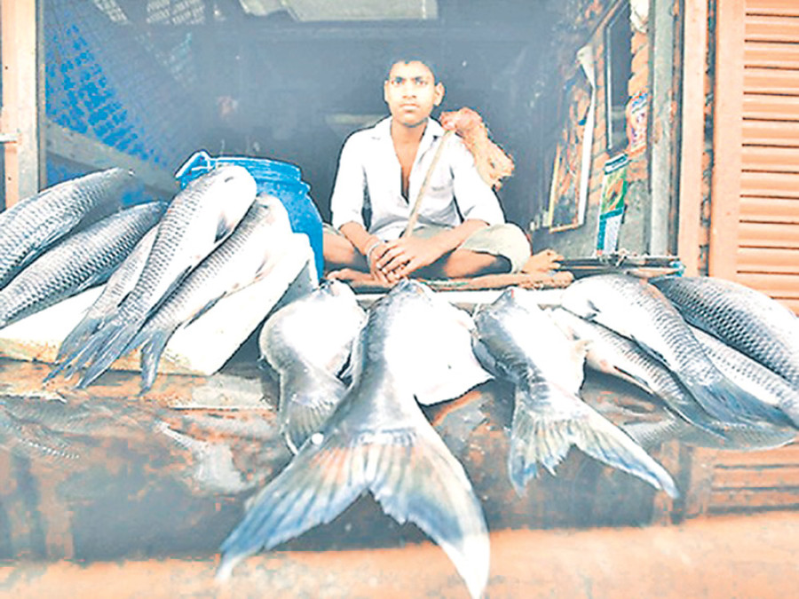Bara to be developed into fishery hub