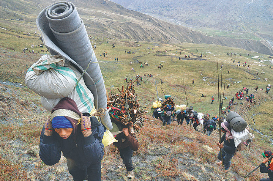 Harvest season: Yarsa collectors swarm over highlands