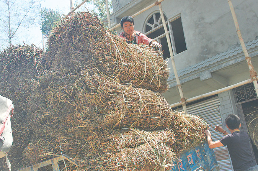 Chiraito farmers look for more accessible markets