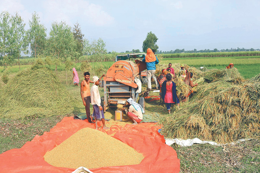 Harvest has started but govt still discussing minimum support price