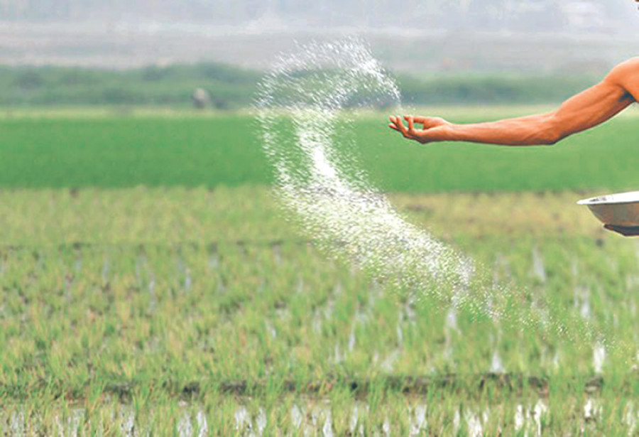 Fertiliser imports to begin early : AIC