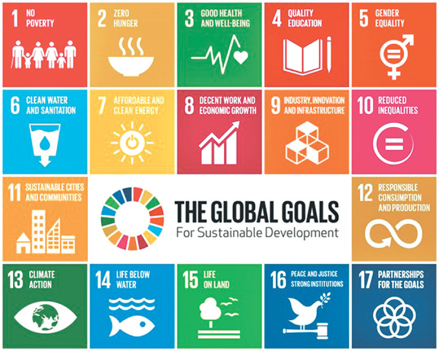 NPC calls on local bodies to own SDGs