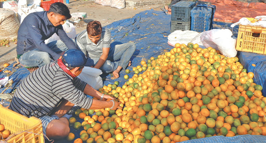 Orange prices jump as hail hits output