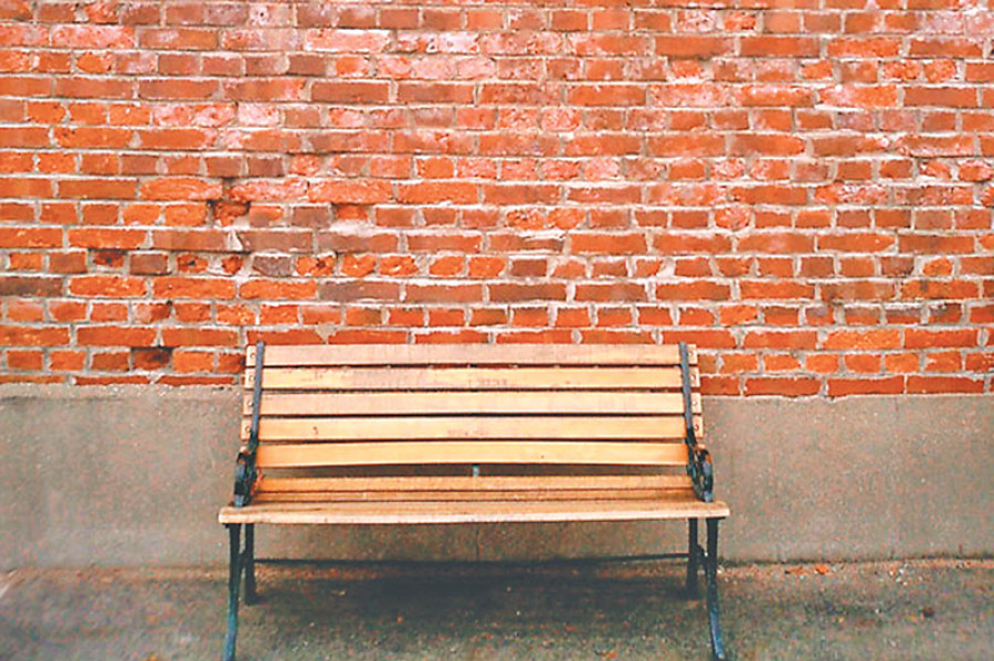 SEBI starts production of eco-friendly bricks