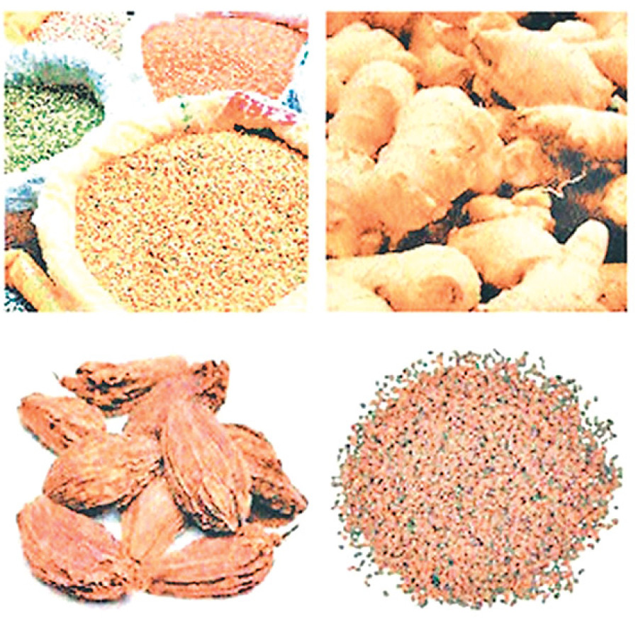 Export earnings from NTIS products drop