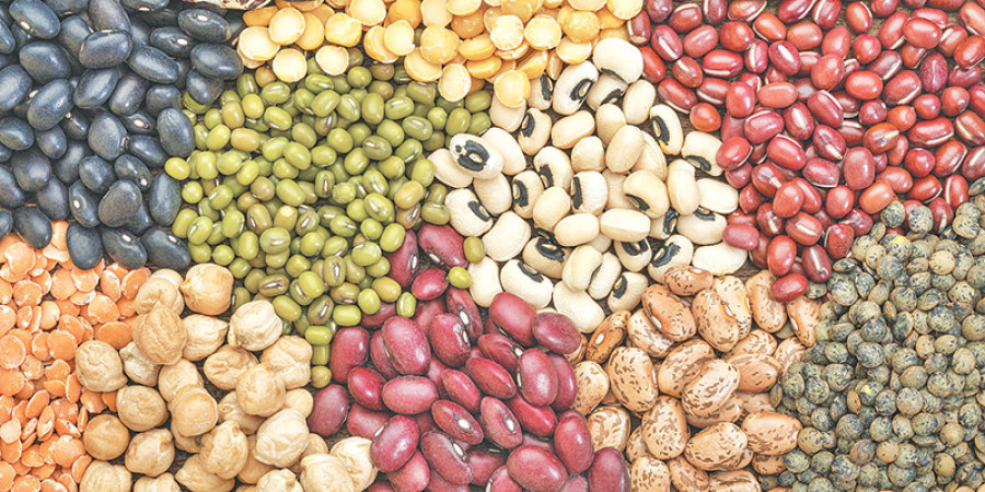 Legume imports reach Rs5b in first 11 months