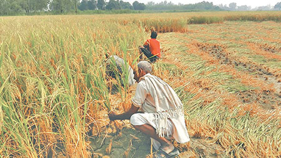 Work comes first for labourers, not election