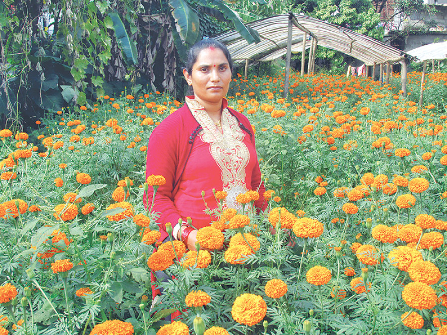 Striking gold with floriculture in Nepal