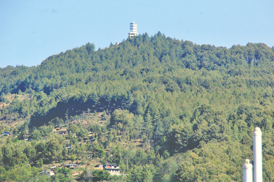 Scientific Forest Management begins in Dolakha