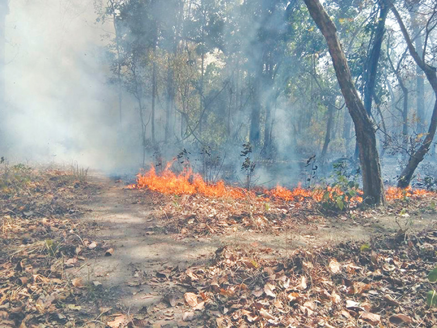 Bardiya National Park fails to combat fire