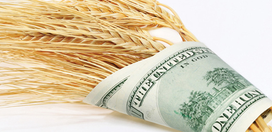 Policy against poverty