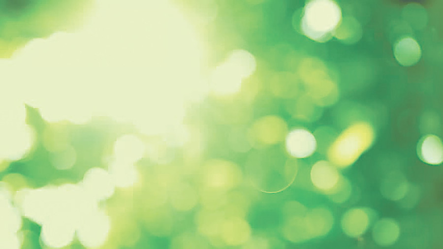 Forests for prosperity