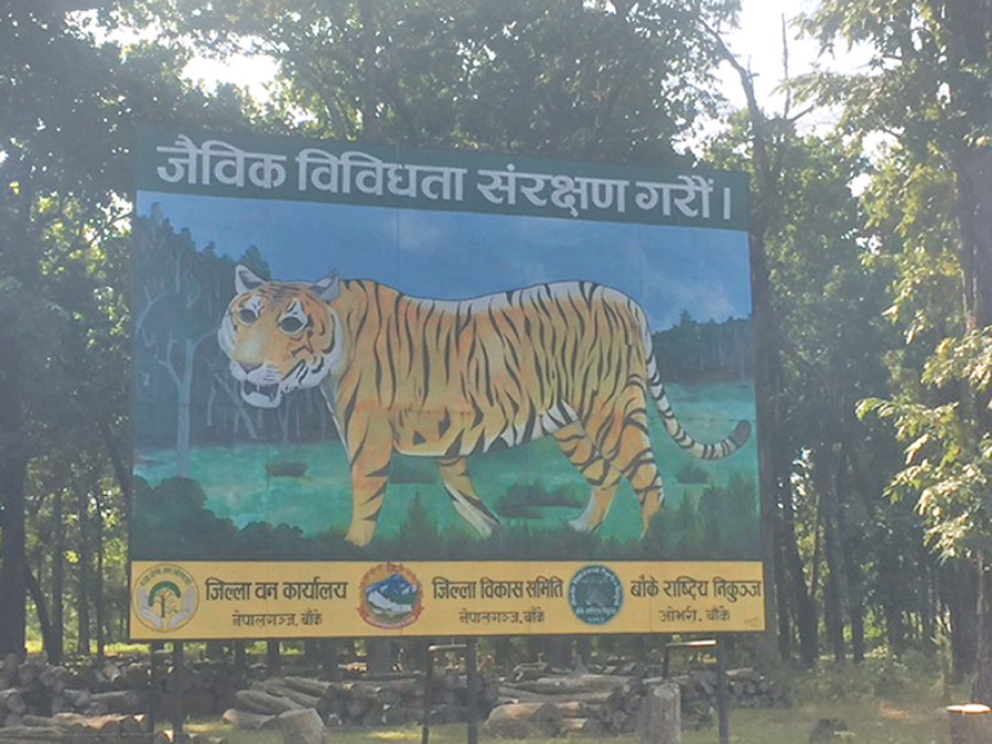 The tiger and the farmer