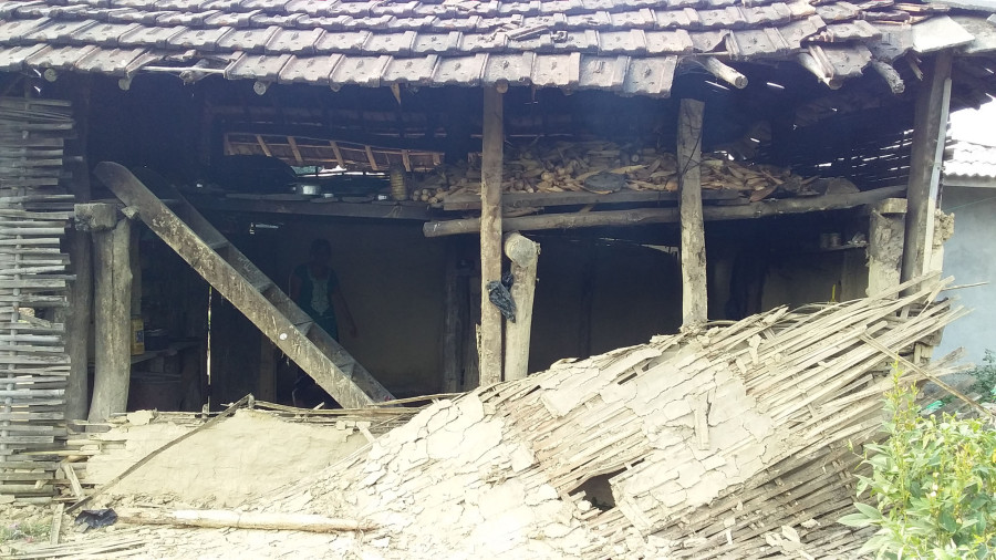 Elephants terrorise Hirapur residents