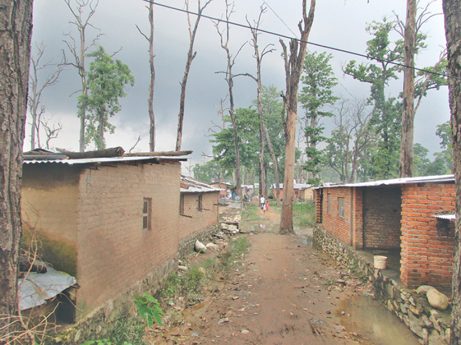 Illegal settlers occupy more than 25,000ha forest land in Kailali