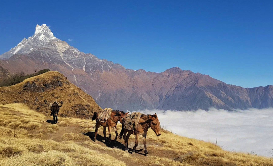Where will Nepali travellers explore? Here are the top 10 destinations