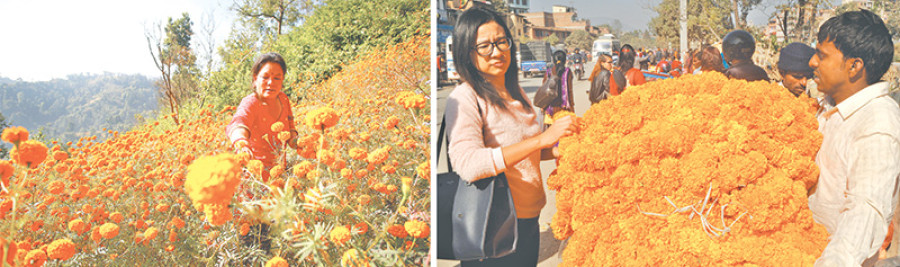 Flower Power