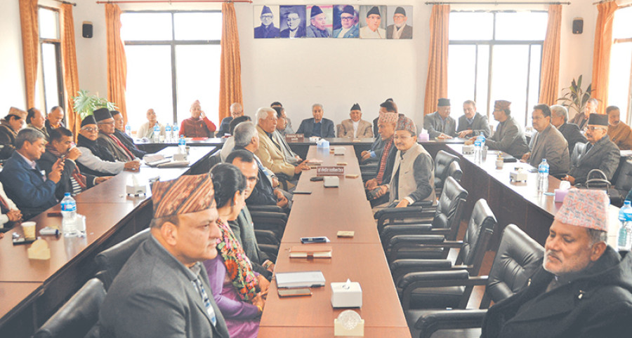 Congress proposes more central members in its draft statute