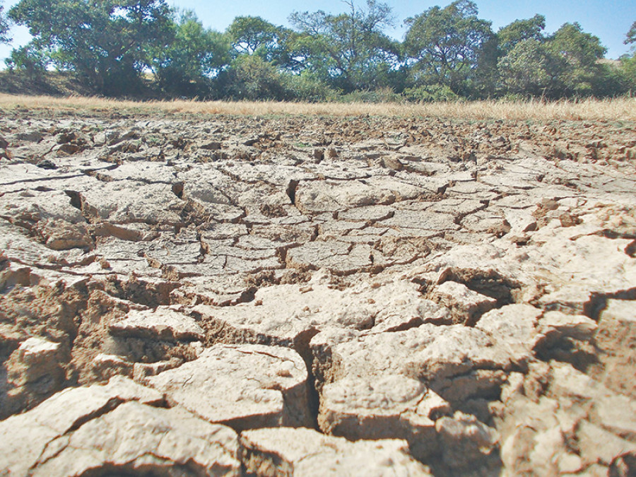 Outmigration turns arable land barren