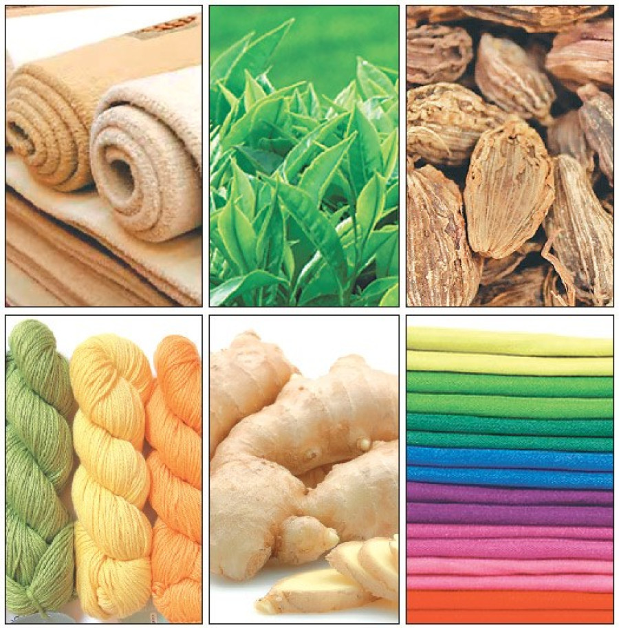 Government hikes export cash incentives to 5 percent