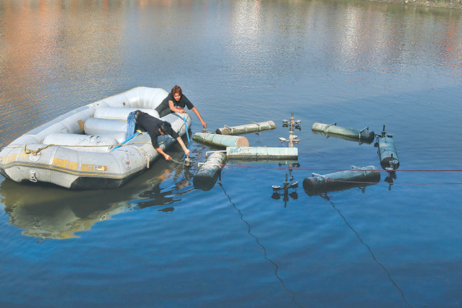Dead fish leave behind foul stink around Kamal Pokhari