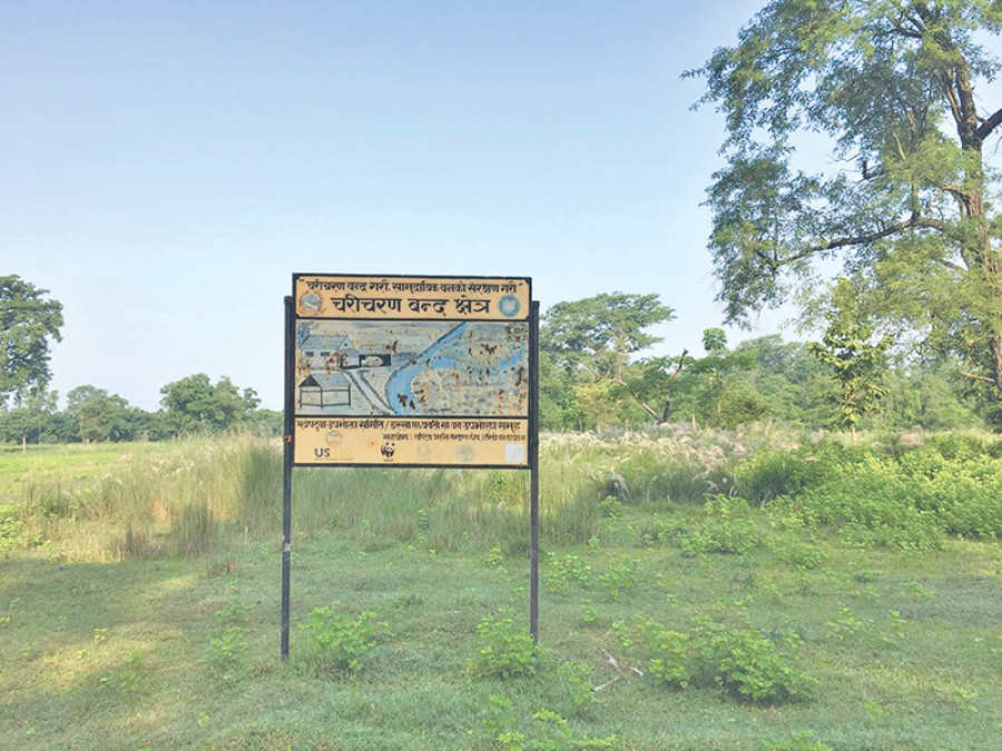Gigantic enclaves are not a solution