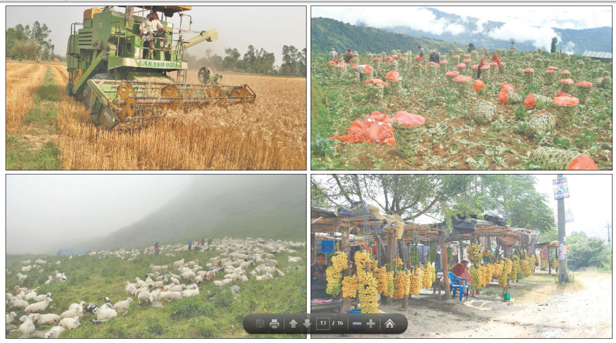 New agro roadmap envisions mechanised, modern farming