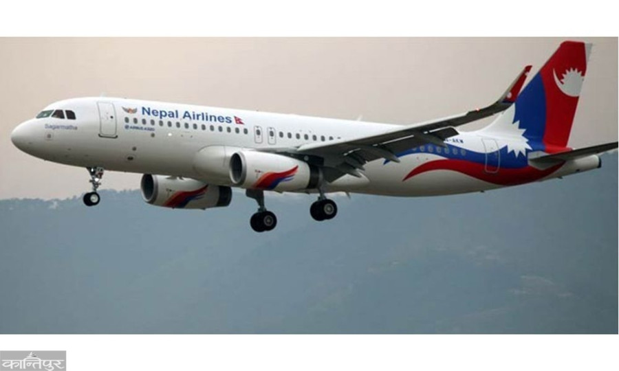 NA Airbus 320 grounded after bird hit during landing