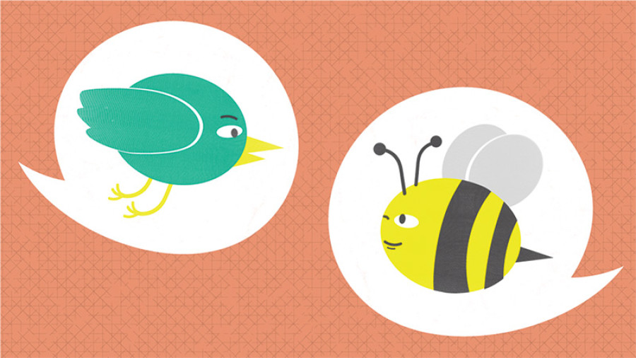 The Birds and the bees: Matters of the body