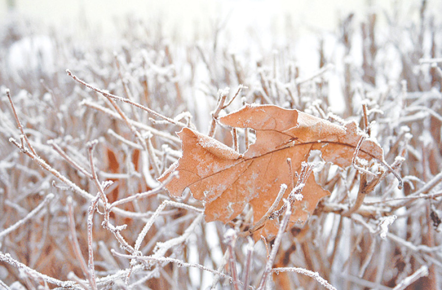 Snow