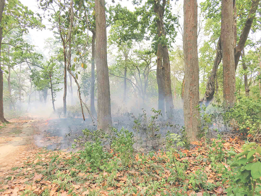 Forest fire spirals out of control