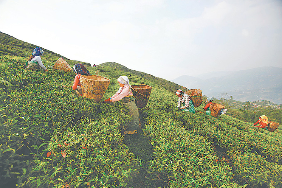 Tea workers intensify protests in Dhankuta