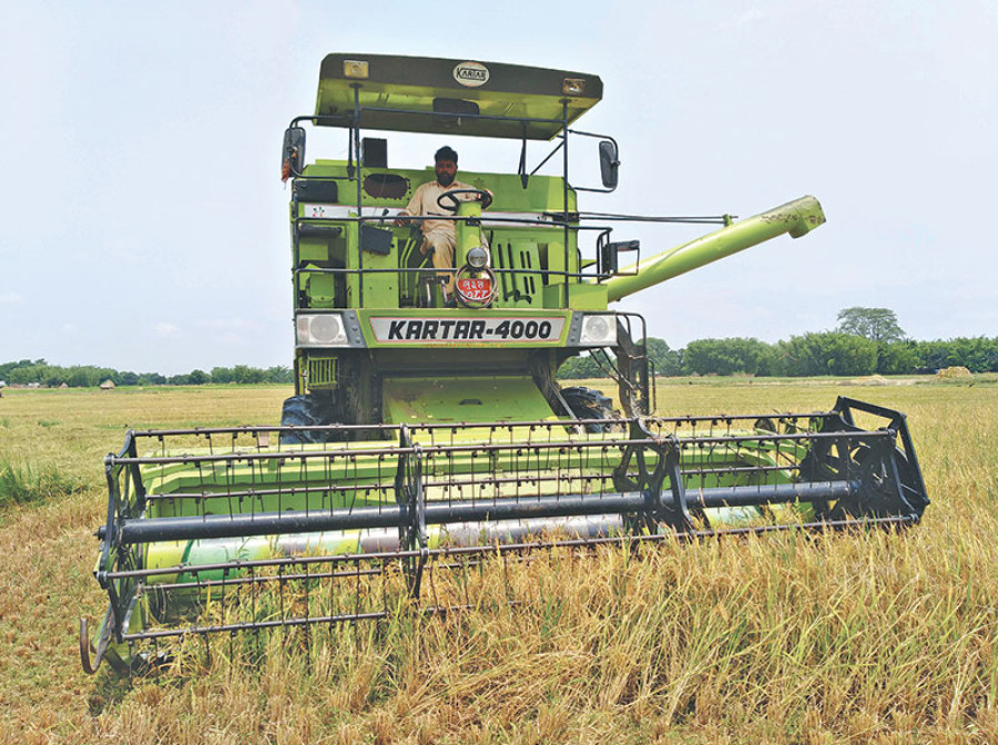 Govt raises MSP for paddy