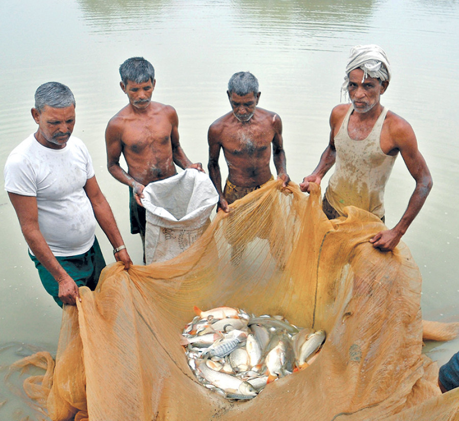 Kapilvastu to become self-reliant in fish