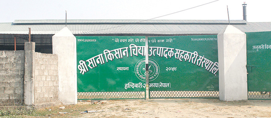 Small tea farmers set up own factories