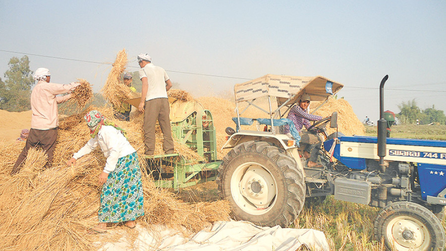 Farmers rue delay in procuring paddy, accuse influential traders lobby
