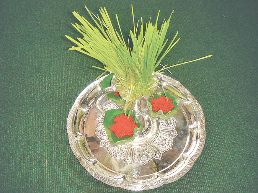 Science facts for Dashain