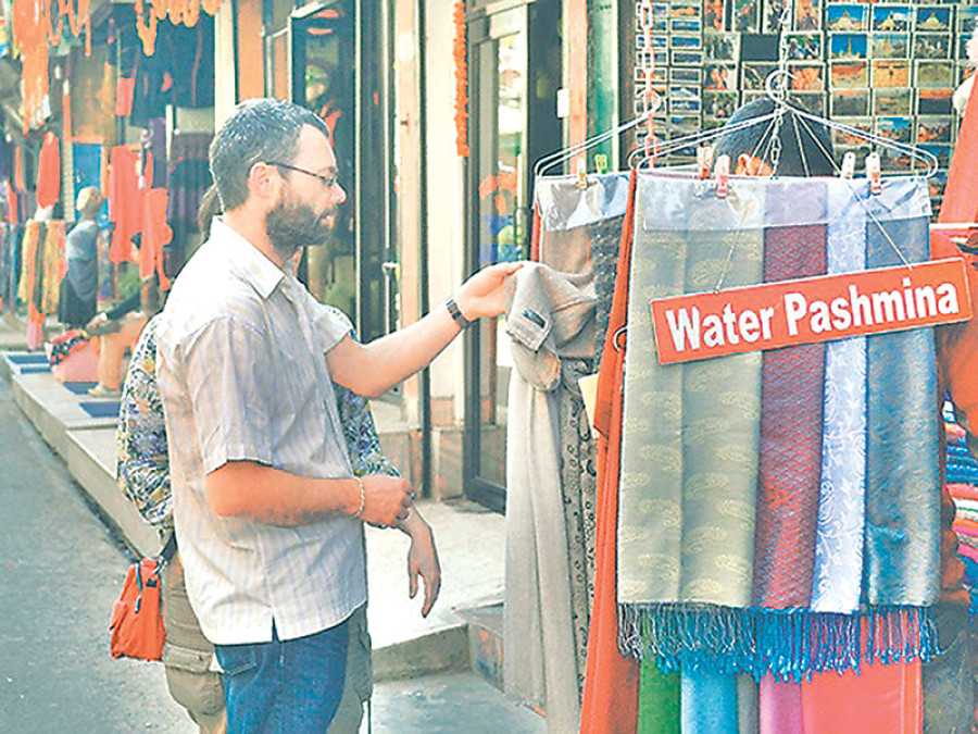 Plan to set up pashmina wool processing centres in limbo
